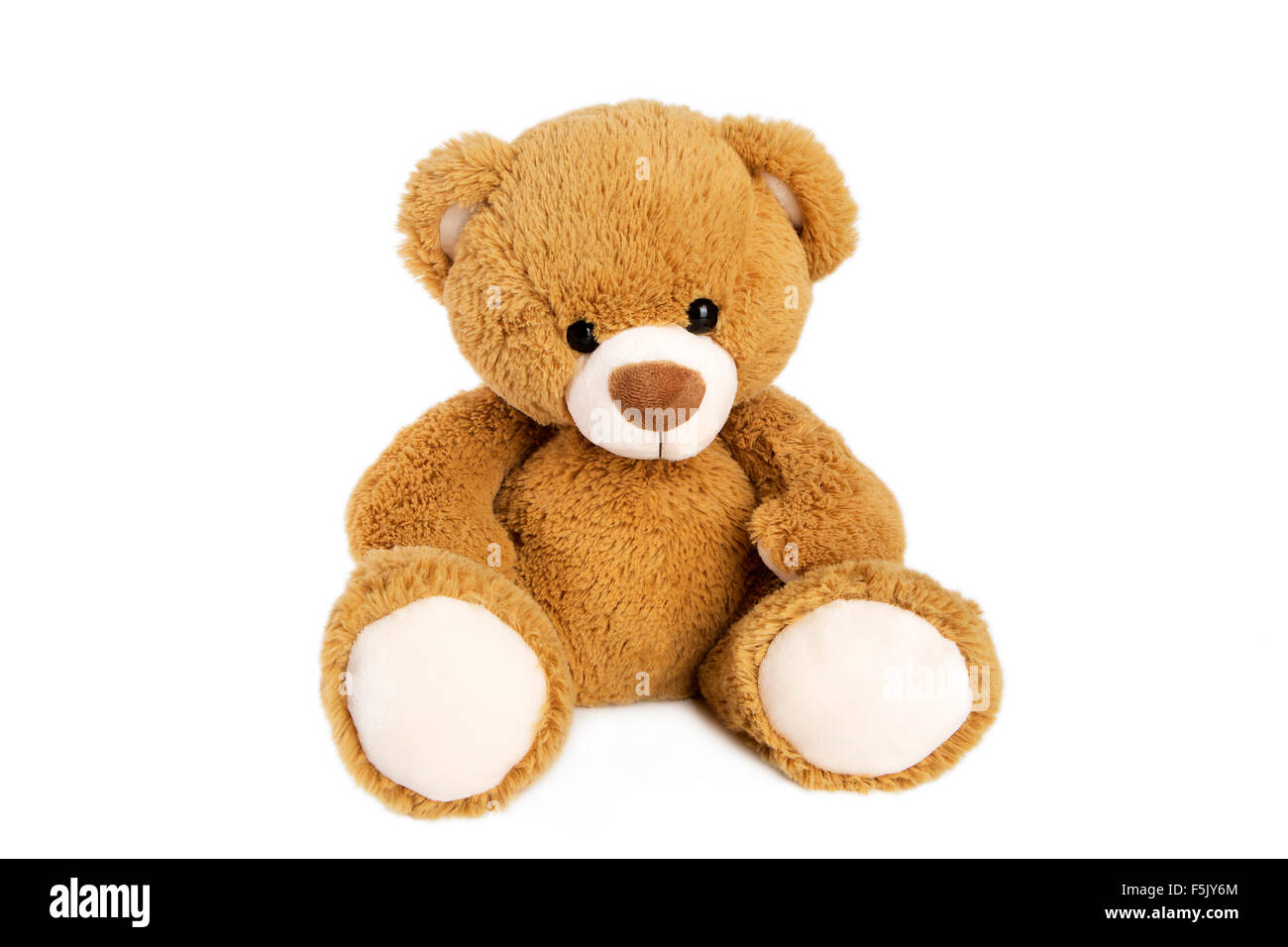Brauner Teddybär vor einem weißen Hintergrund isoliert Stockfoto