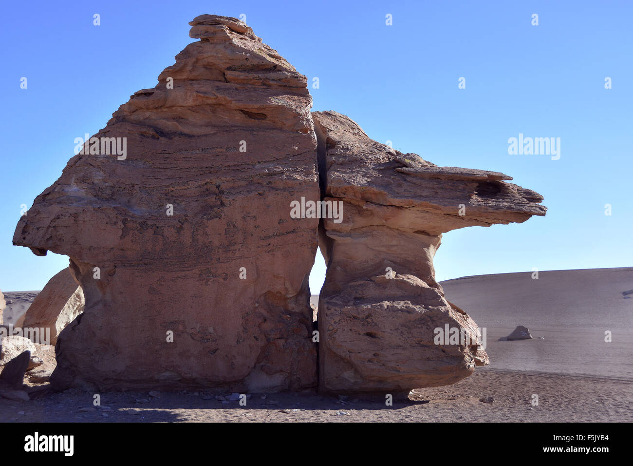 Turtle geformten Felsen vom Wind Erosion, La Tortuga, Uyuni, Altiplano, Bolivien Stockfoto