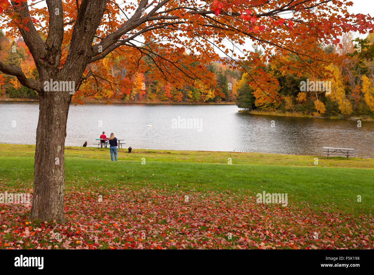 Waterbury Center State Park im Herbst, Waterbury, Vermont USA Stockfoto