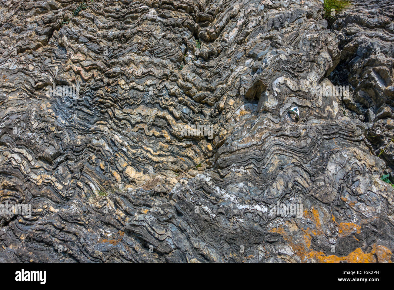 Gneis Felsen im Voralpenland, Briancon gefaltet Stockfoto