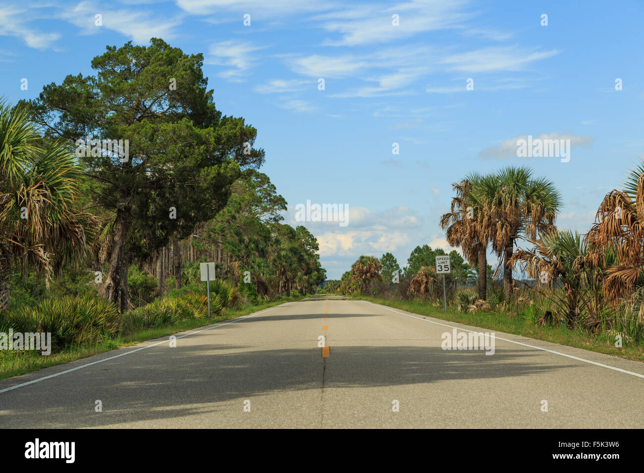 Ein Foto von einer Straße in St. Marks National Wildlife Refuge in Tallahassee in Florida, USA. Stockfoto