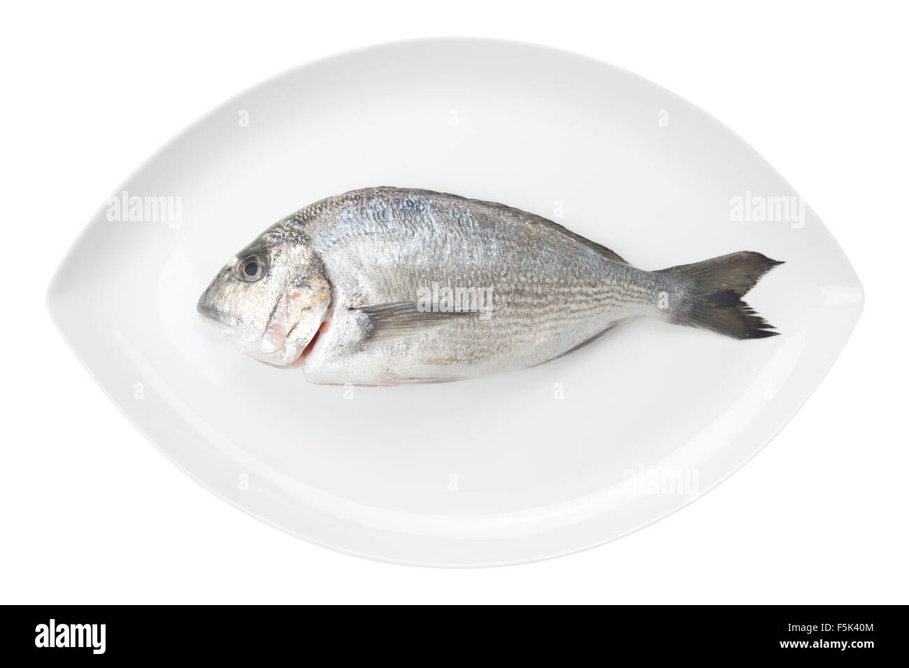 Dorada Meeresfrüchte auf einen weißen ovalen Teller isoliert auf weißem Hintergrund. Auch bekannt als Brassen Seefisch. Rohkost. Stockfoto