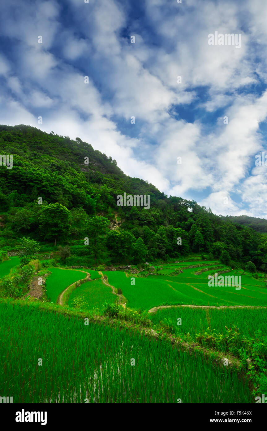 Süd-Ost China, Yunnan - 2011: Reisterrassen im Bergland von so Stockfoto