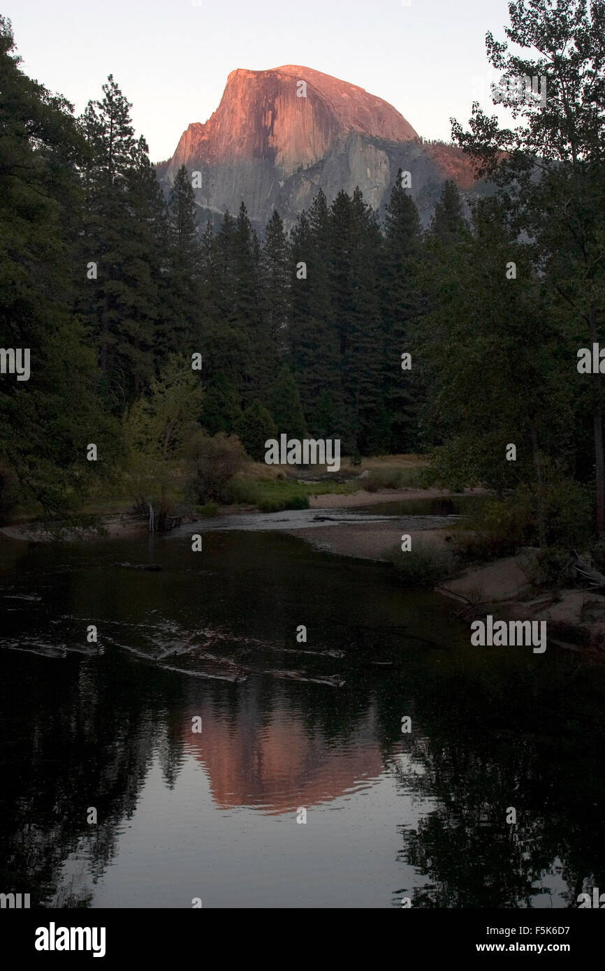 27. November 2005; Yosemite, CA, USA; Half Dome bei Sonnenuntergang, spiegelt sich in den Merced River. Yosemite National Park ist fast 1.200 quadratische Meilen von malerischen wilden Länder beiseite 1890 von John Muir, die zentralen Sierra Nevada zu bewahren. Der Park hat alpine Wildnis, 3 Mammutbäume und Yosemite Valley. "Das unvergleichliche Tal" genannt, ist Yosemite ein Gletscher geformten Canyon. Springende Wasserfälle, inspirierte abgerundete Kuppeln, massiven Monolithen und hoch aufragenden Klippen Dichter, Maler, Fotografen und Millionen von Besuchern. Offene Wiesen mit Wildblumen, Eiche Waldland, Nadelwälder der Teich Stockfoto