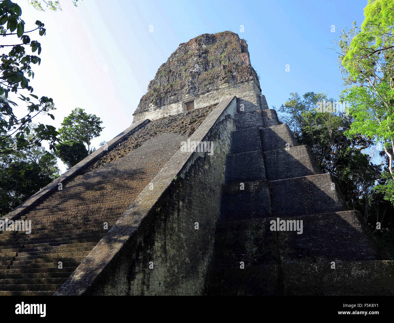 Tikal in Guatemala. 18. April 2012. Tikal Tempel V in Guatemala. Julie Rogers/ZUMAPRESS.com/Alamy © Live-Nachrichten Stockfoto