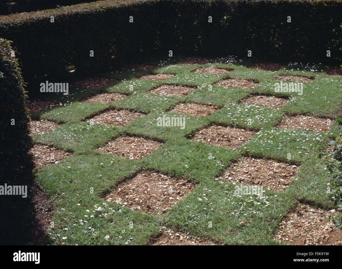 Rasen und Kies Chequer Brett-Quadrate eine Beschnittene Hecke umschlossen Stockfoto