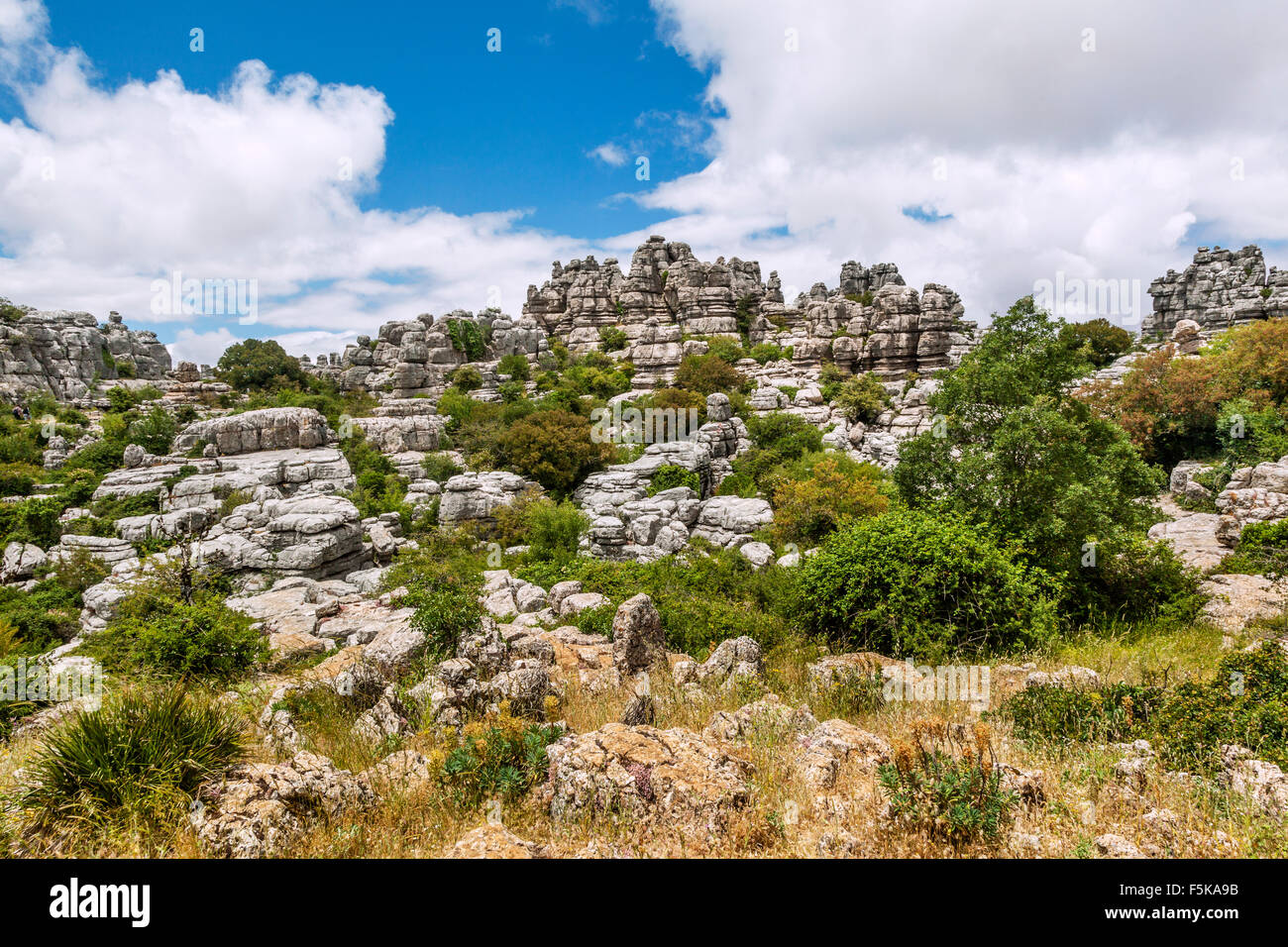 Spanien, Andalusien, Provinz Malaga, die karstigen Landschaft der Torcal de Antequera Stockfoto