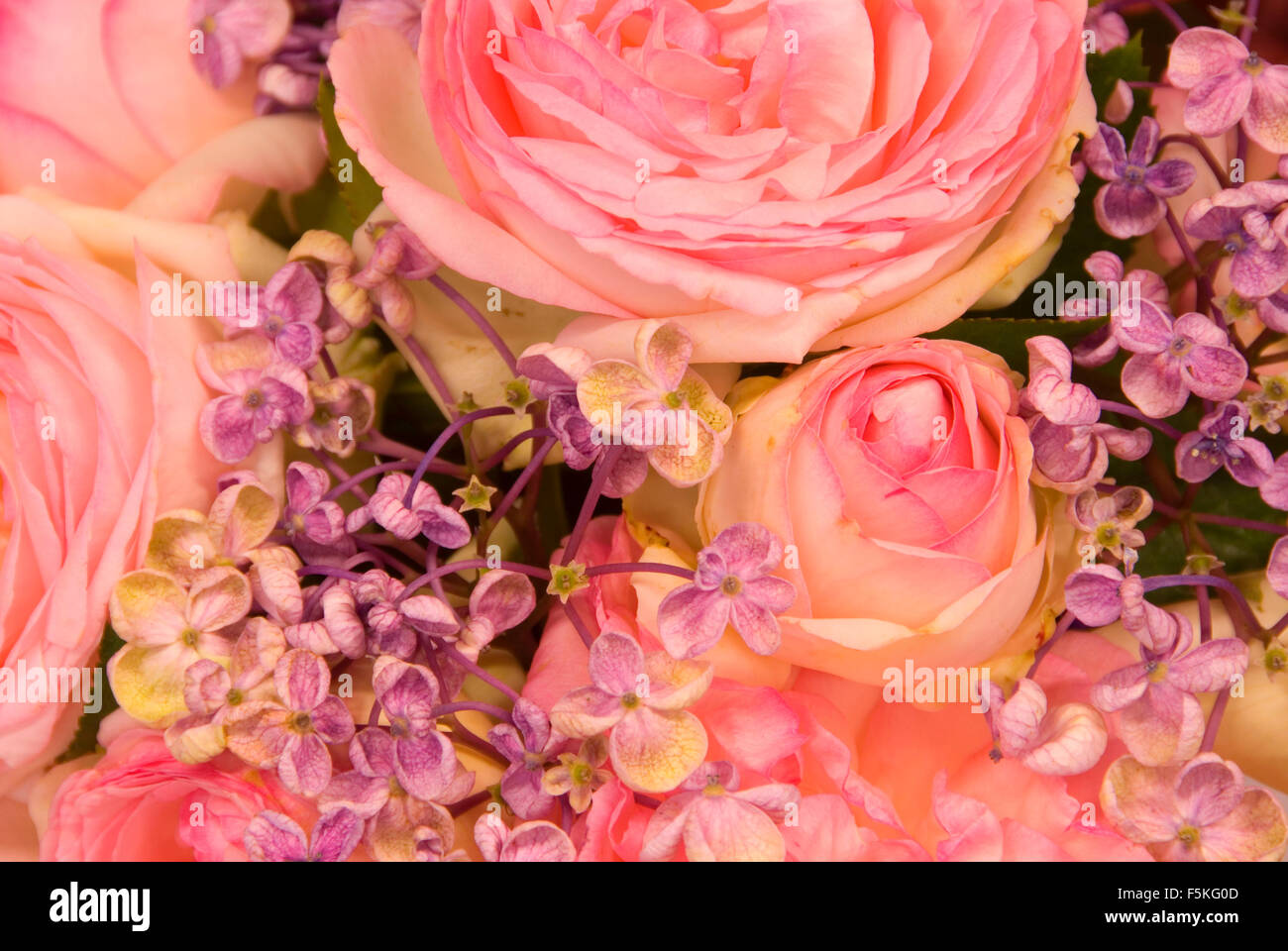 Flower Arrangement Display (Eden Kletterer), Oregon State Fair, Salem, Oregon Stockfoto