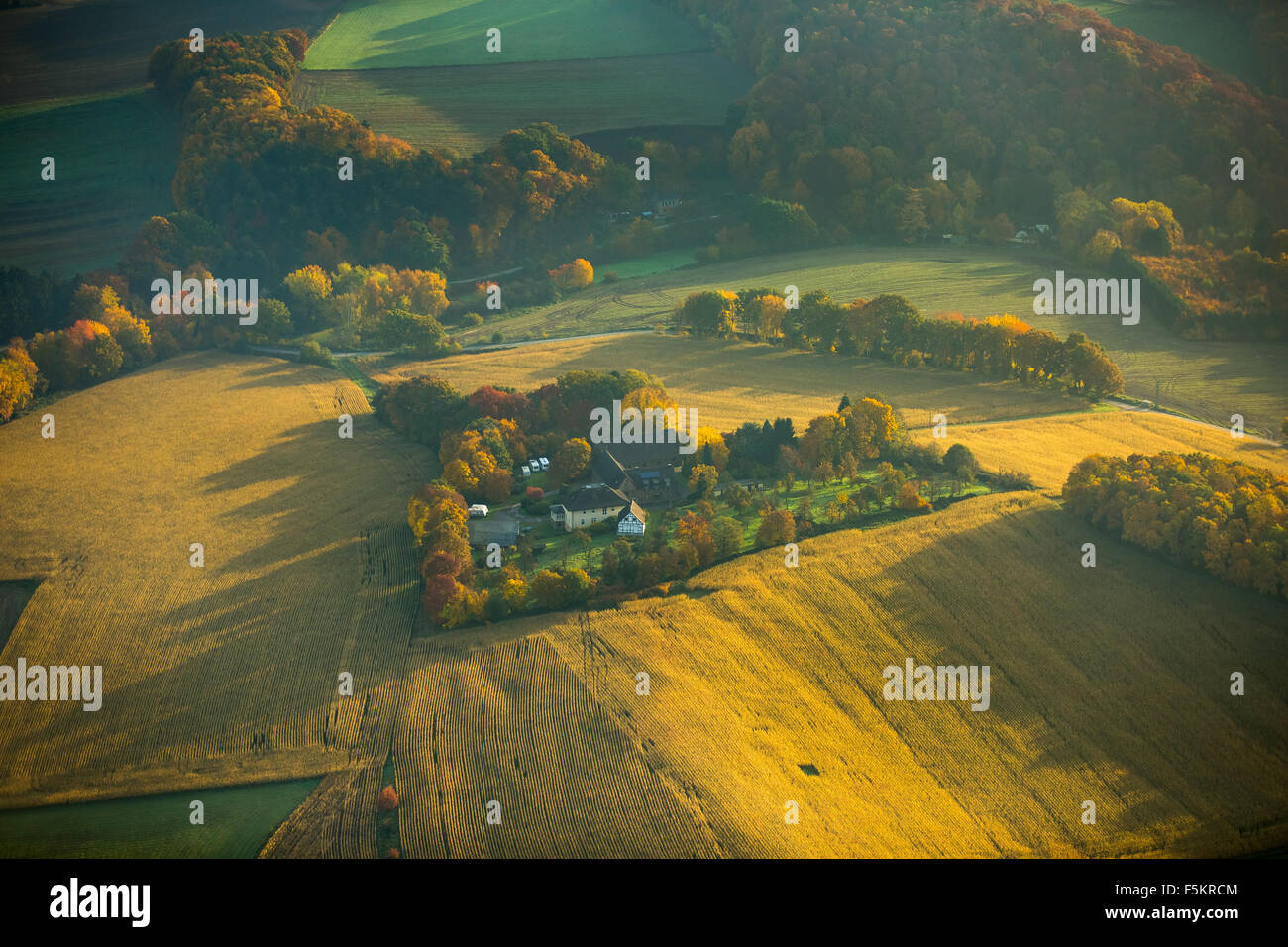 Bauernhof, Farm Berghauserstrasse mit umgebenden Kornfelder, Herbst Licht mit langen Schatten Witten, Stockfoto