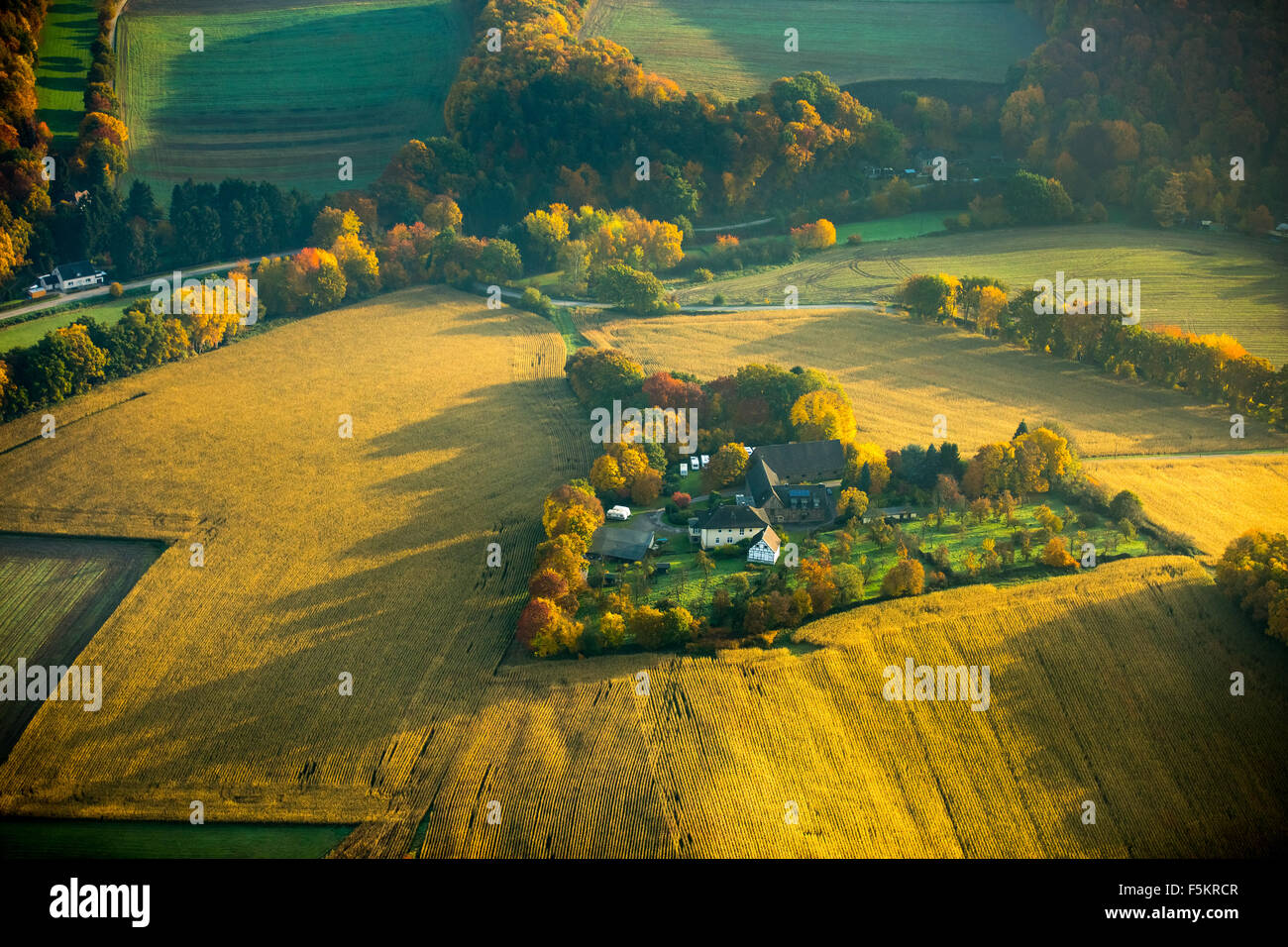 Bauernhof, Farm Berghauserstrasse mit umgebenden Kornfelder, Herbst Licht mit langen Schatten Witten, Stockfoto