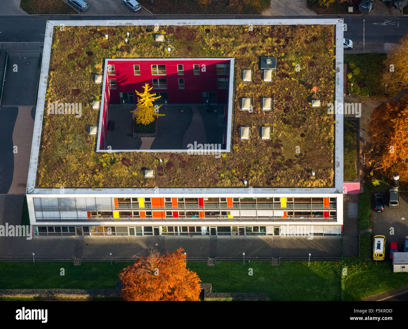 Helene-Lohmann-Schule mit einem Laubbaum im Atrium, Stockfoto