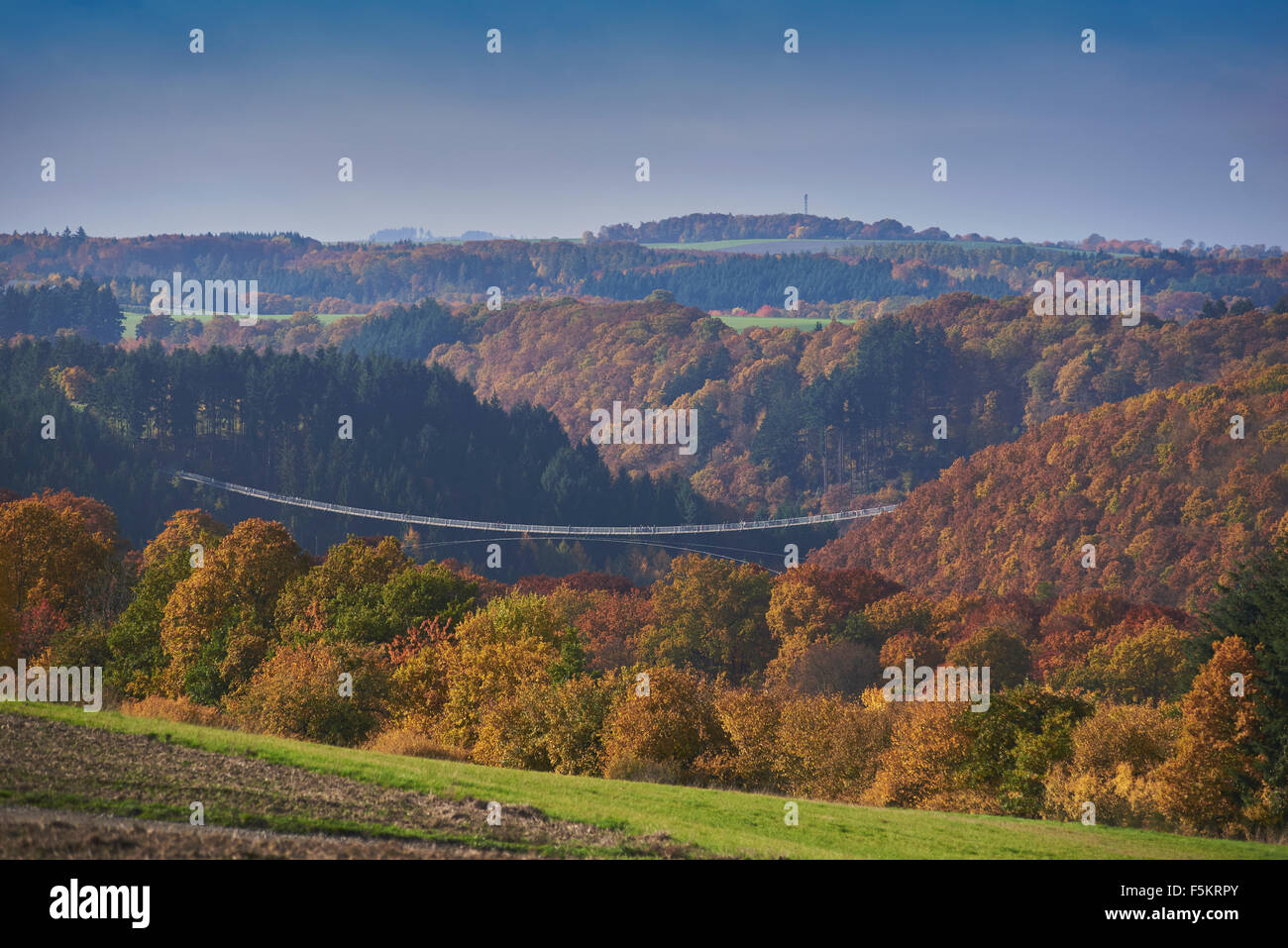 hängenden Seil zu überbrücken, Geierlay, Mörsdorf, Hunsrück, Saar-Hunsrück-Steig, Deutschland Stockfoto