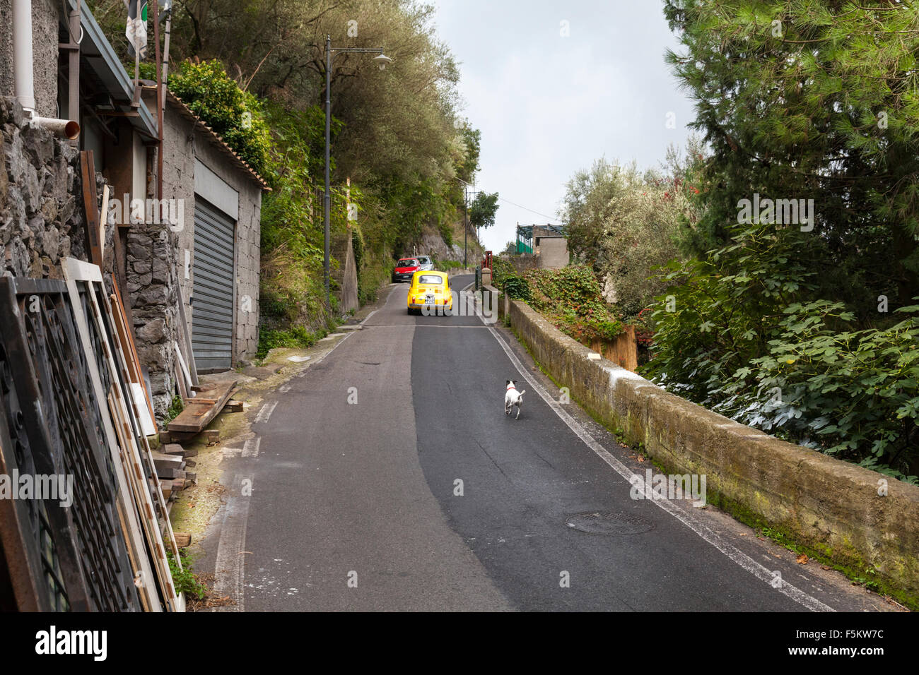 Straßenszene - eine kleine Hunde läuft nach einem gelben Fiat 500 Oldtimer auf einem steilen Hügel in Montepertuso an der Amalfi Küste, Italien Stockfoto