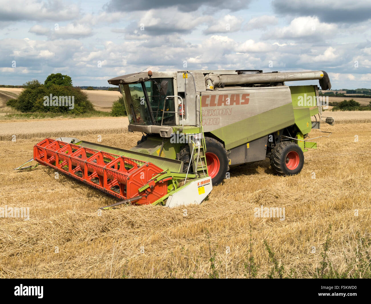 Stationäre Claas Lexion 480 kombiniert Erntemaschine im Maisfeld in Leicestershire, England, UK. Stockfoto