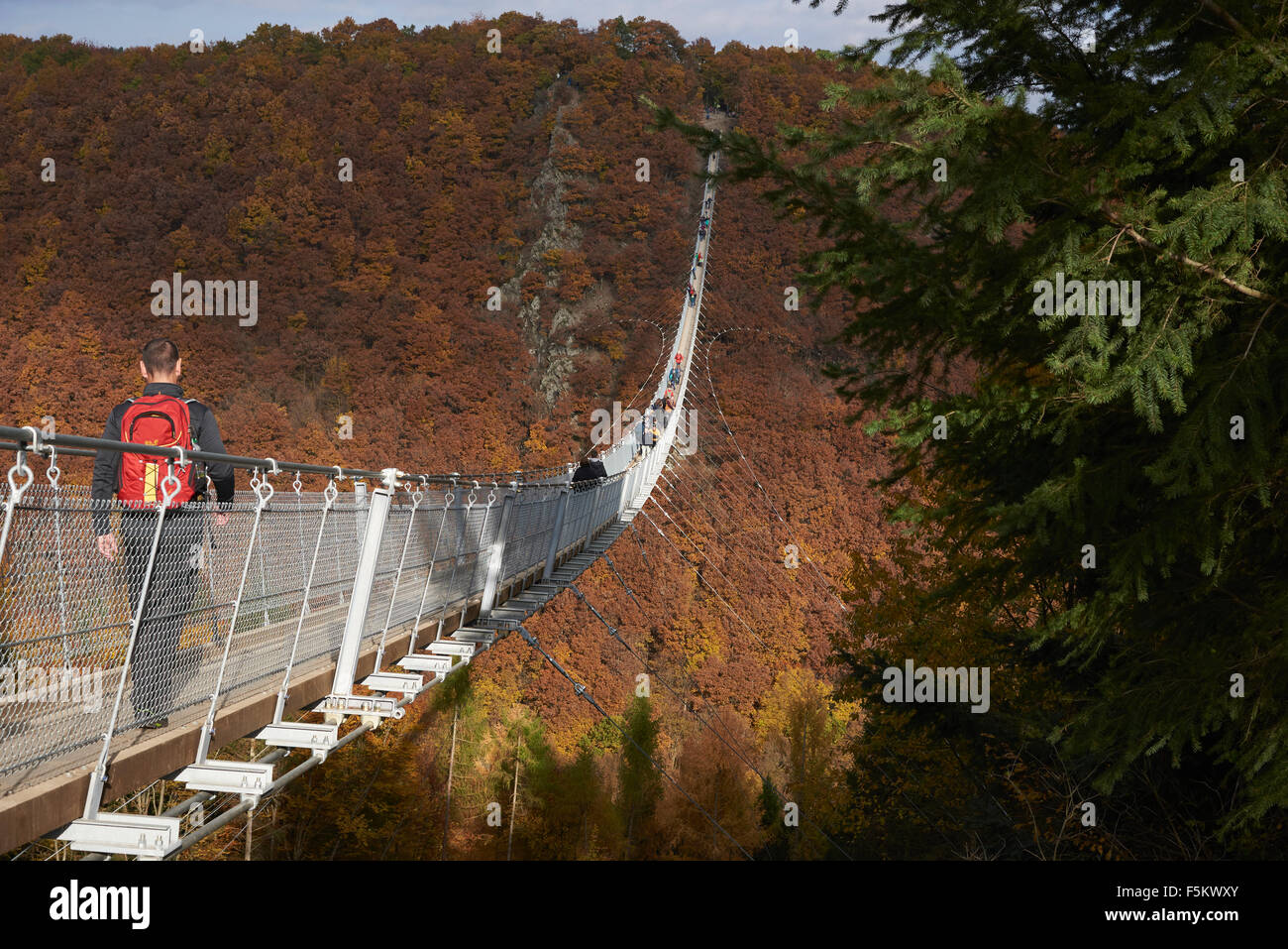 hängenden Seil zu überbrücken, Geierlay, Mörsdorf, Hunsrück, Saar-Hunsrück-Steig, Deutschland Stockfoto