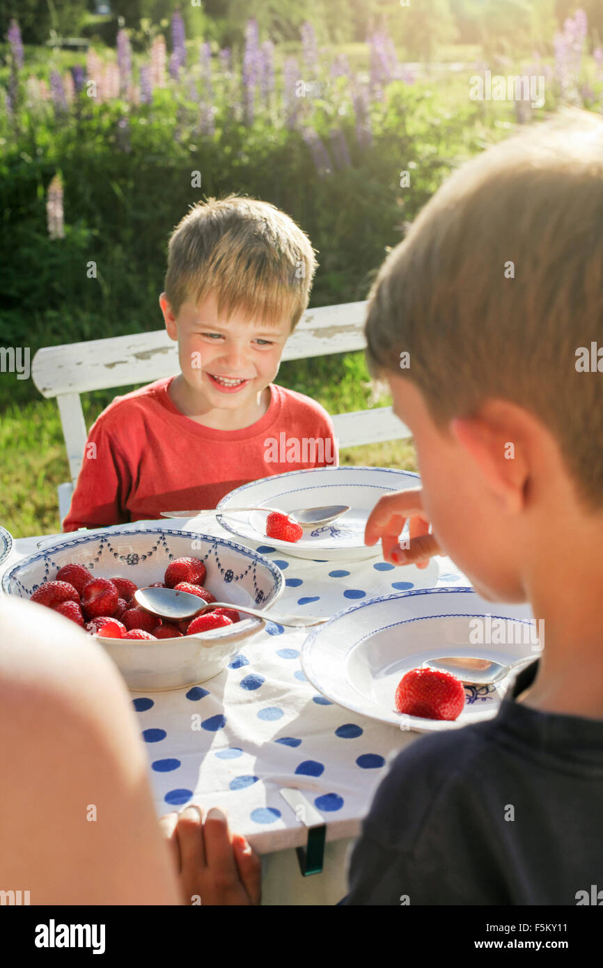 Schweden, Halsingland, Jarvso, Brüder (4-5, 6 und 7) Essen Erdbeeren im Garten Stockfoto