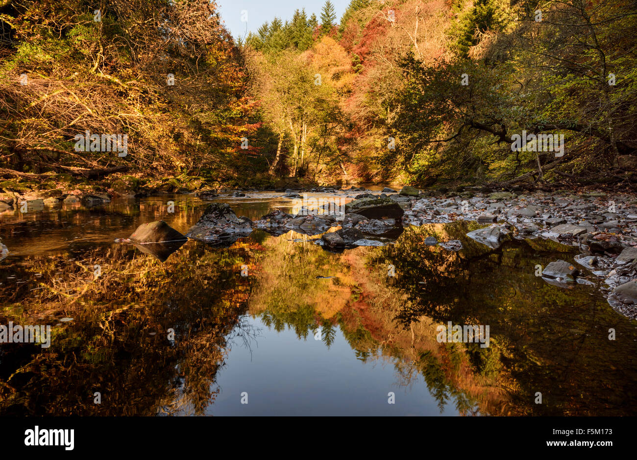 Fluss in allen Staward Schlucht Northumberland Herbst Stockfoto