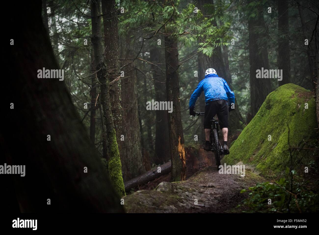 Rückansicht des männlichen Mountainbiker fahren durch Wald Stockfoto