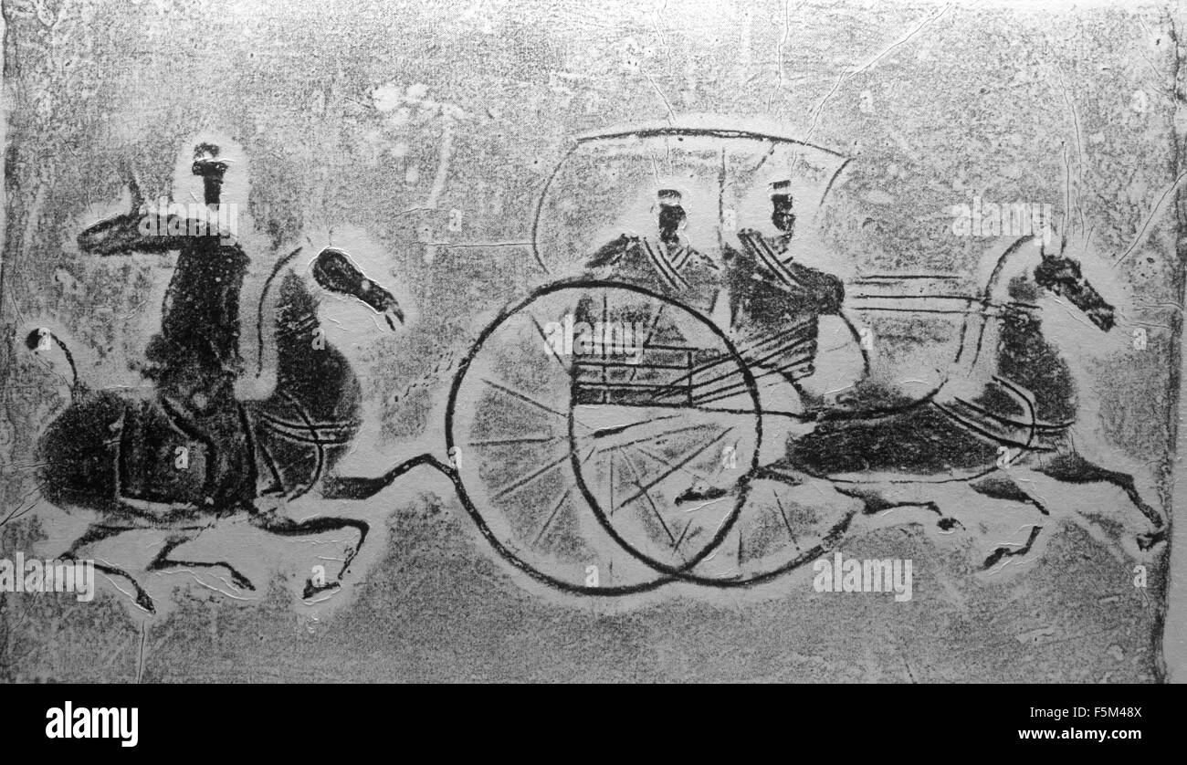 Muster von Pferd Stockfoto