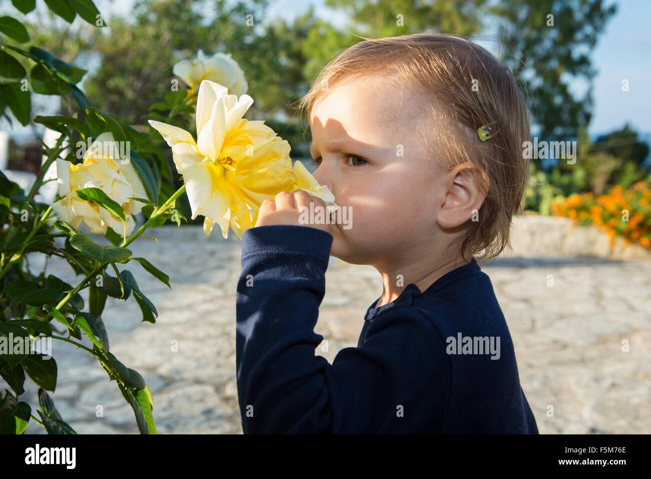 Weiblichen Kleinkind duftenden gelben stieg auf Terrasse Stockfoto