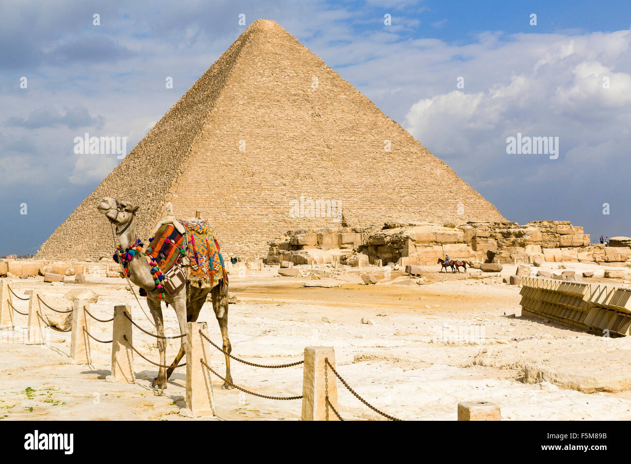 Ägypten, Kairo: Dromedar vor den Pyramiden von Gizeh (auch bekannt als die Pyramide von Khufu oder der Pyramide des Cheops) Stockfoto