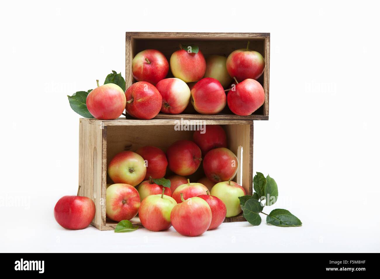 Holzkisten, gefüllt mit frischen Äpfeln Stockfoto