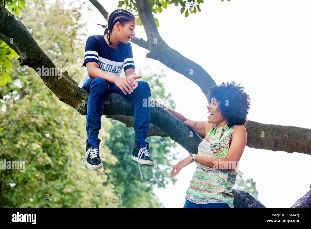 Reife Frau beobachten Sohn sitzen auf Park-Ast Stockfoto