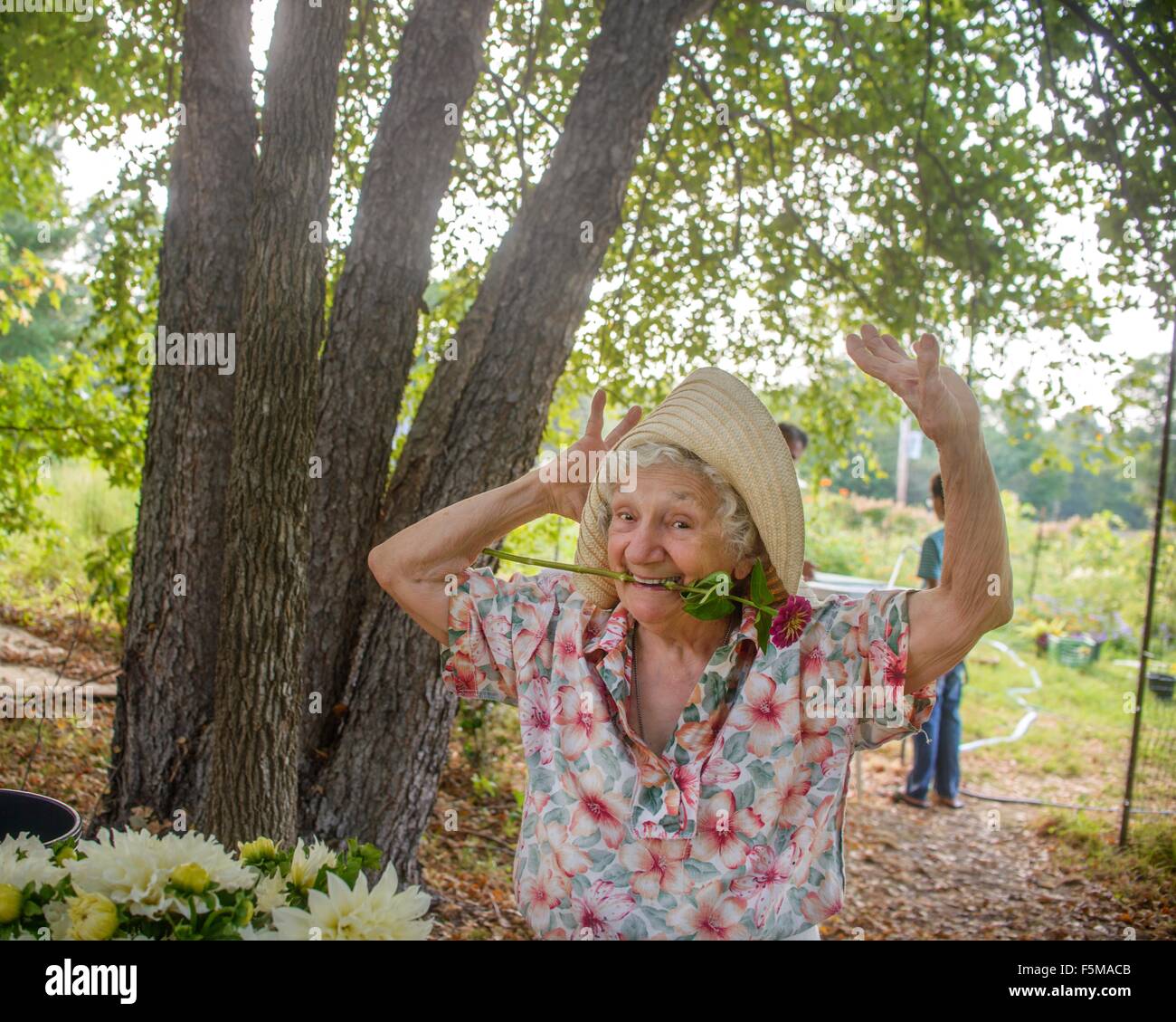 Ältere Frau mit Blume im Mund tanzen auf Bauernhof Stockfoto