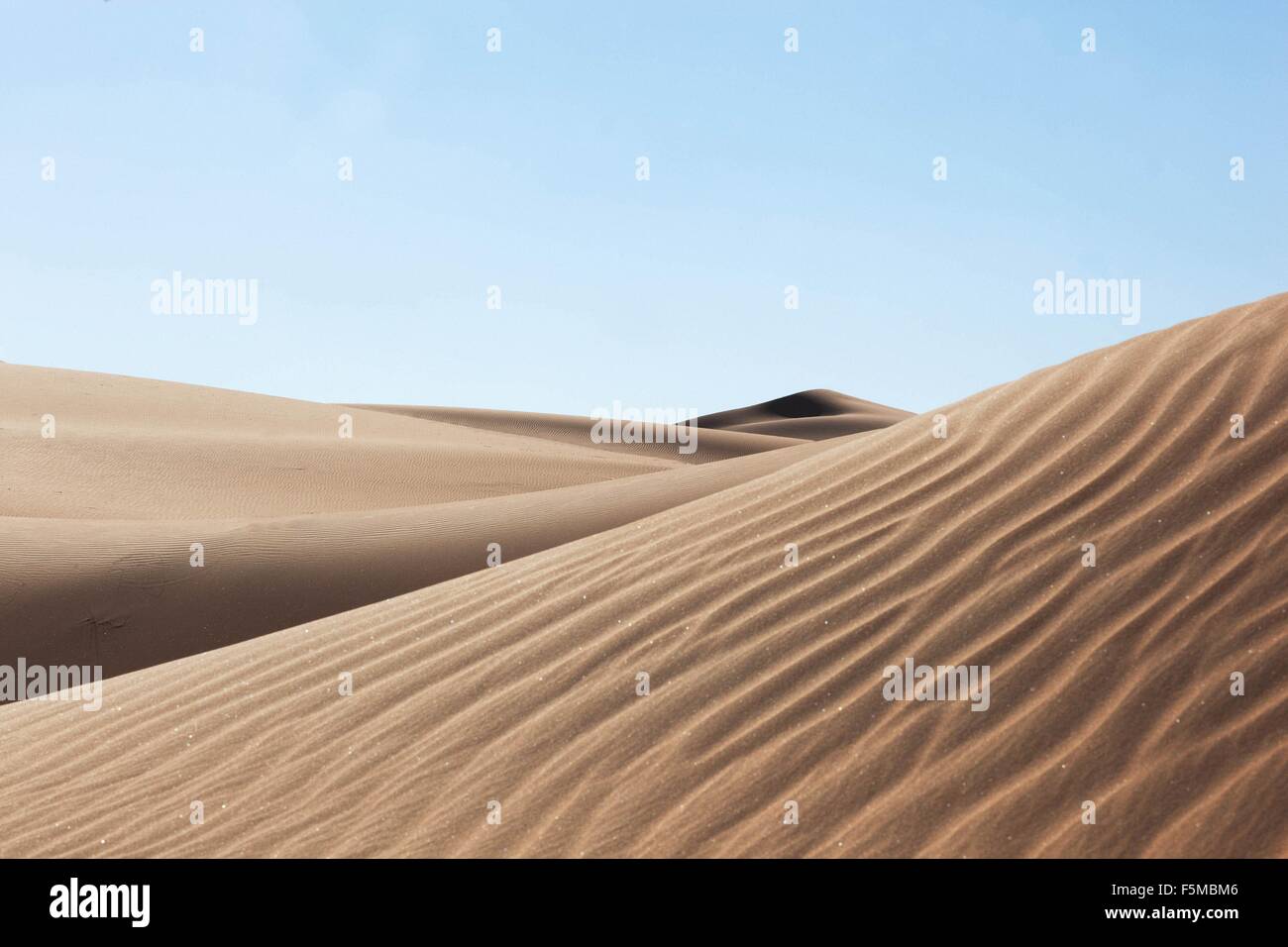 Sanddünen, Liwa-Oase, Abu Dhabi, Vereinigte Arabische Emirate Stockfoto