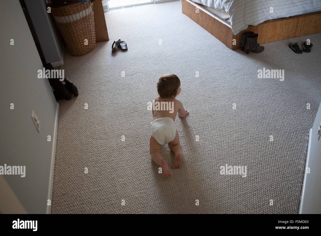 Hohen Winkel Rückansicht des jungen tragen Windel krabbeln auf Teppich im Schlafzimmer Stockfoto