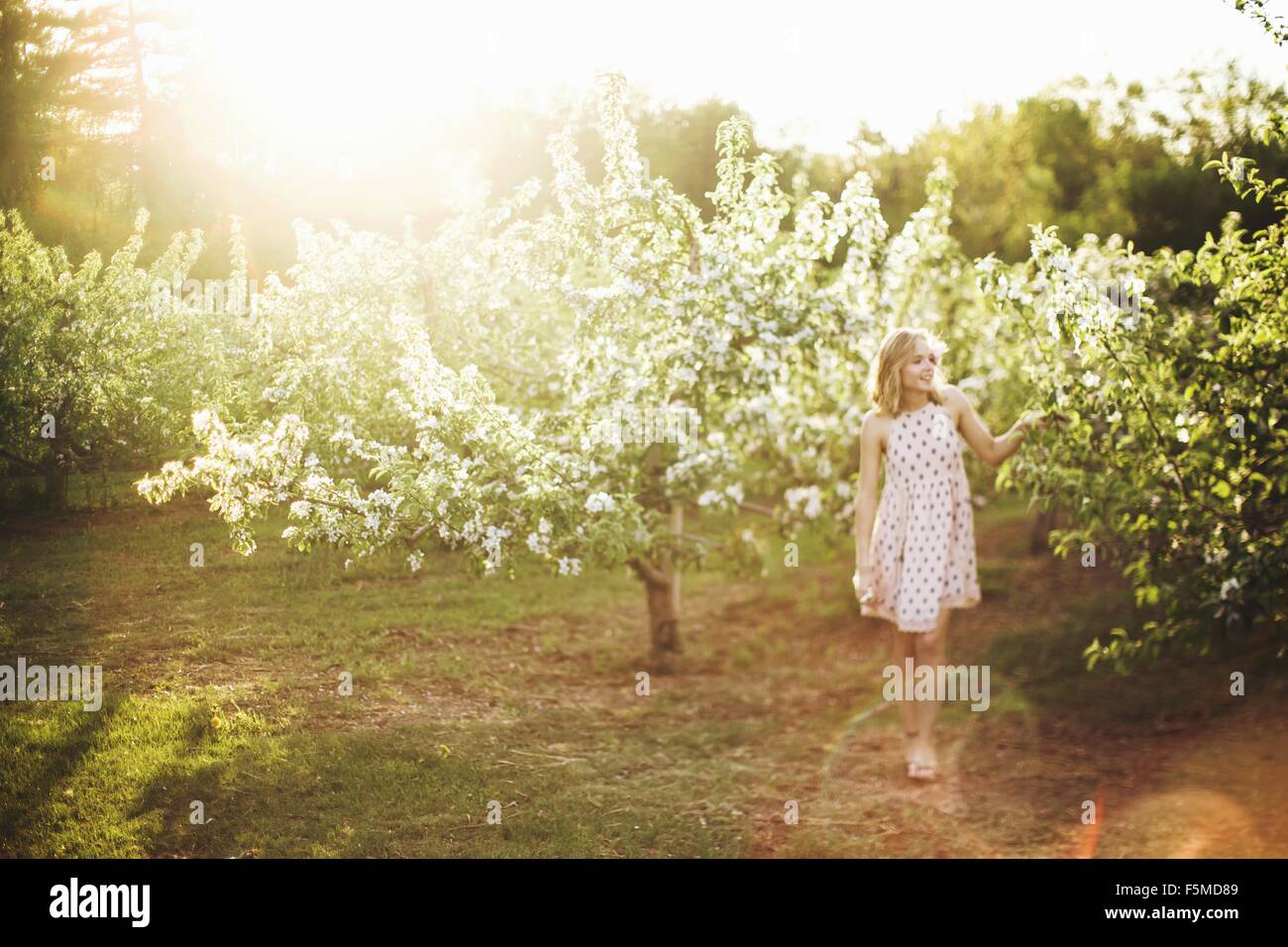 Voller Länge Vorderansicht der jungen Frau mit ärmellosen Kleid stehen im Obstgarten suchen Sie lächelnd Stockfoto