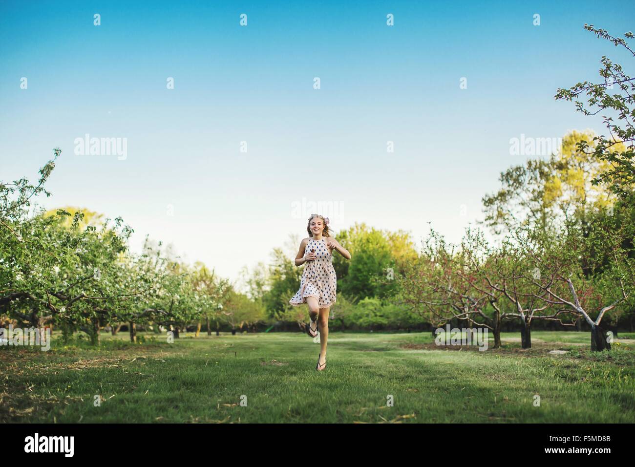 Voller Länge Vorderansicht der jungen Frau mit ärmellosen Kleid läuft durch Obstgarten, Blick auf die Kamera zu Lächeln Stockfoto