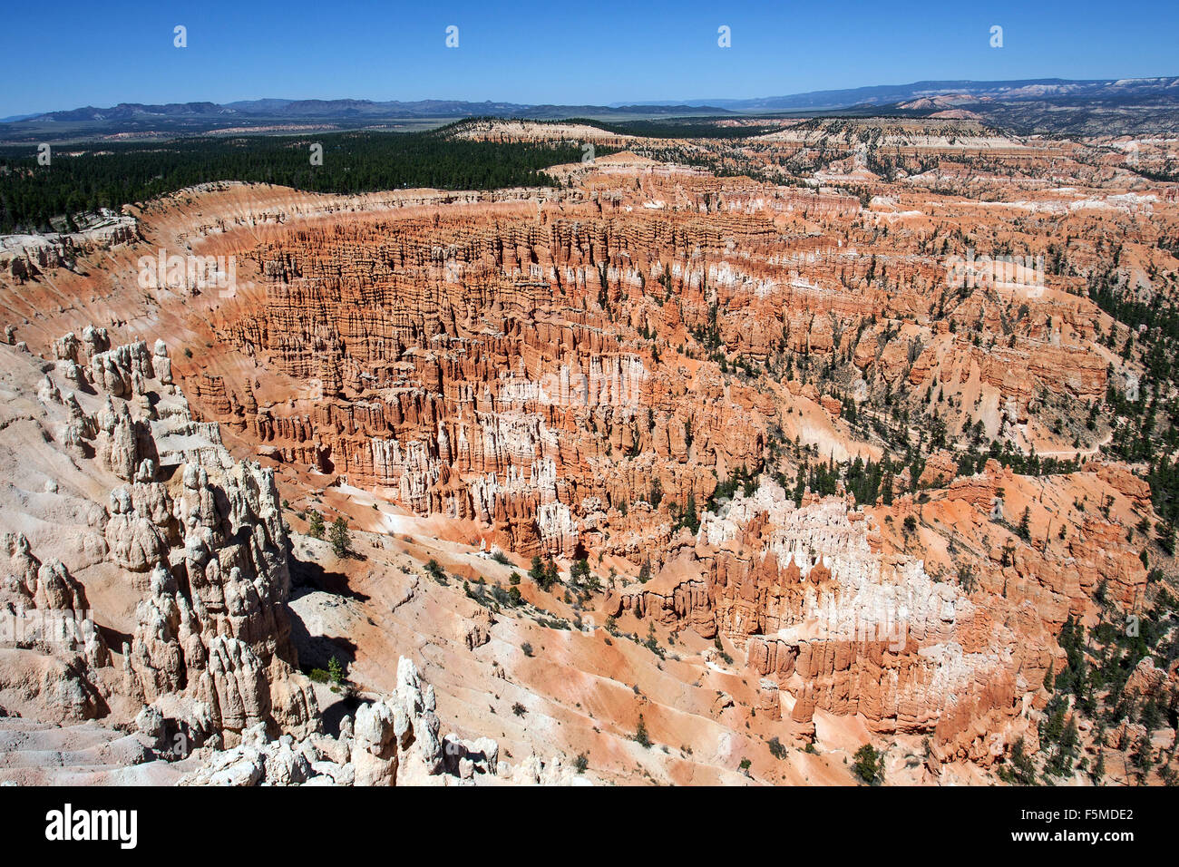 Blick auf farbigen Felsformationen von Bryce Point, Feenkamine, Bryce Amphitheater, Bryce-Canyon-Nationalpark, Utah, USA Stockfoto