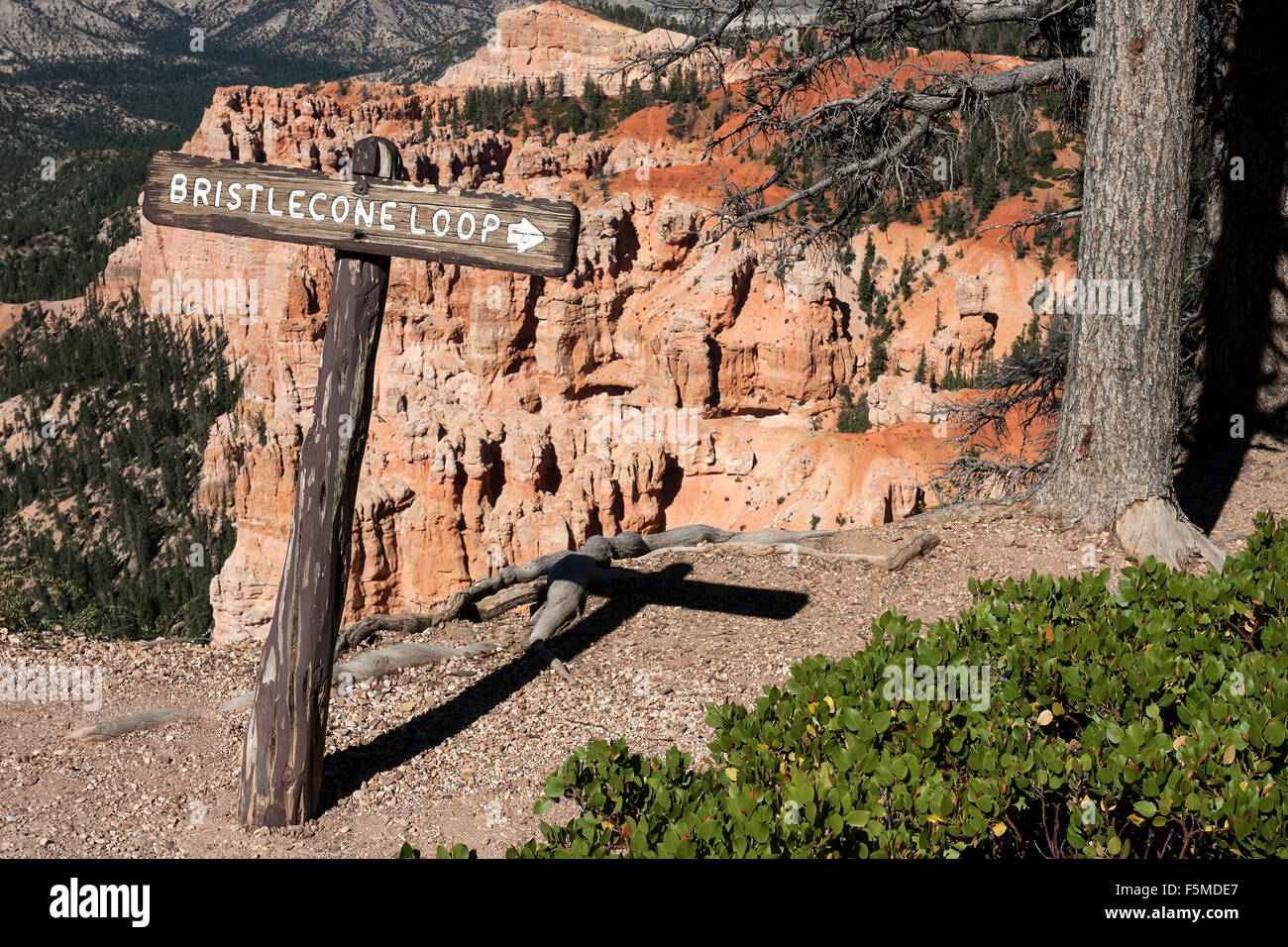 Wegweiser, Bristlecone Kiefer Rundwanderweg, Bryce-Canyon-Nationalpark, Utah, USA Stockfoto