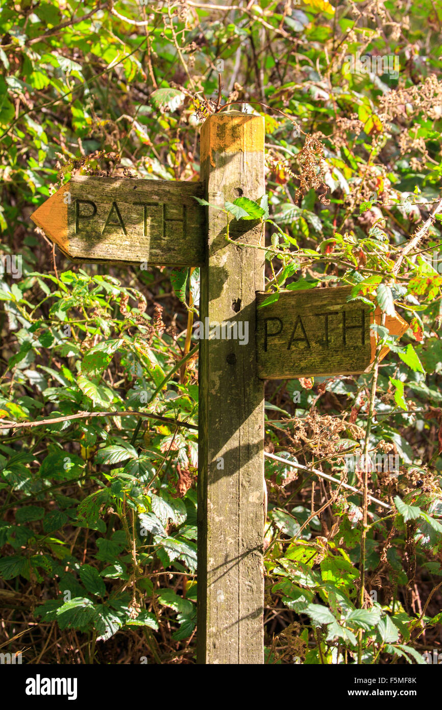 Pfad-Wegweiser auf Dartmoor genommen Stockfoto
