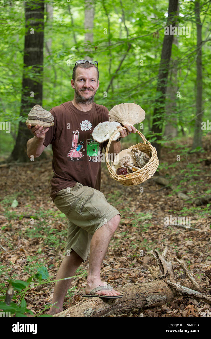 Pilze in den Wäldern von South Carolina. Stockfoto