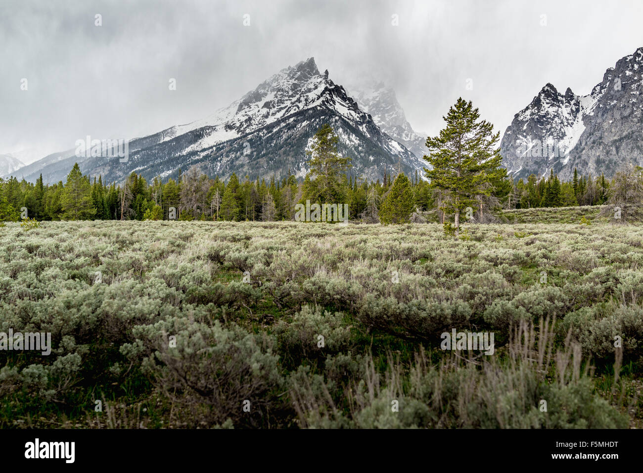 Gebirge im Grand Teton National Park Stockfoto