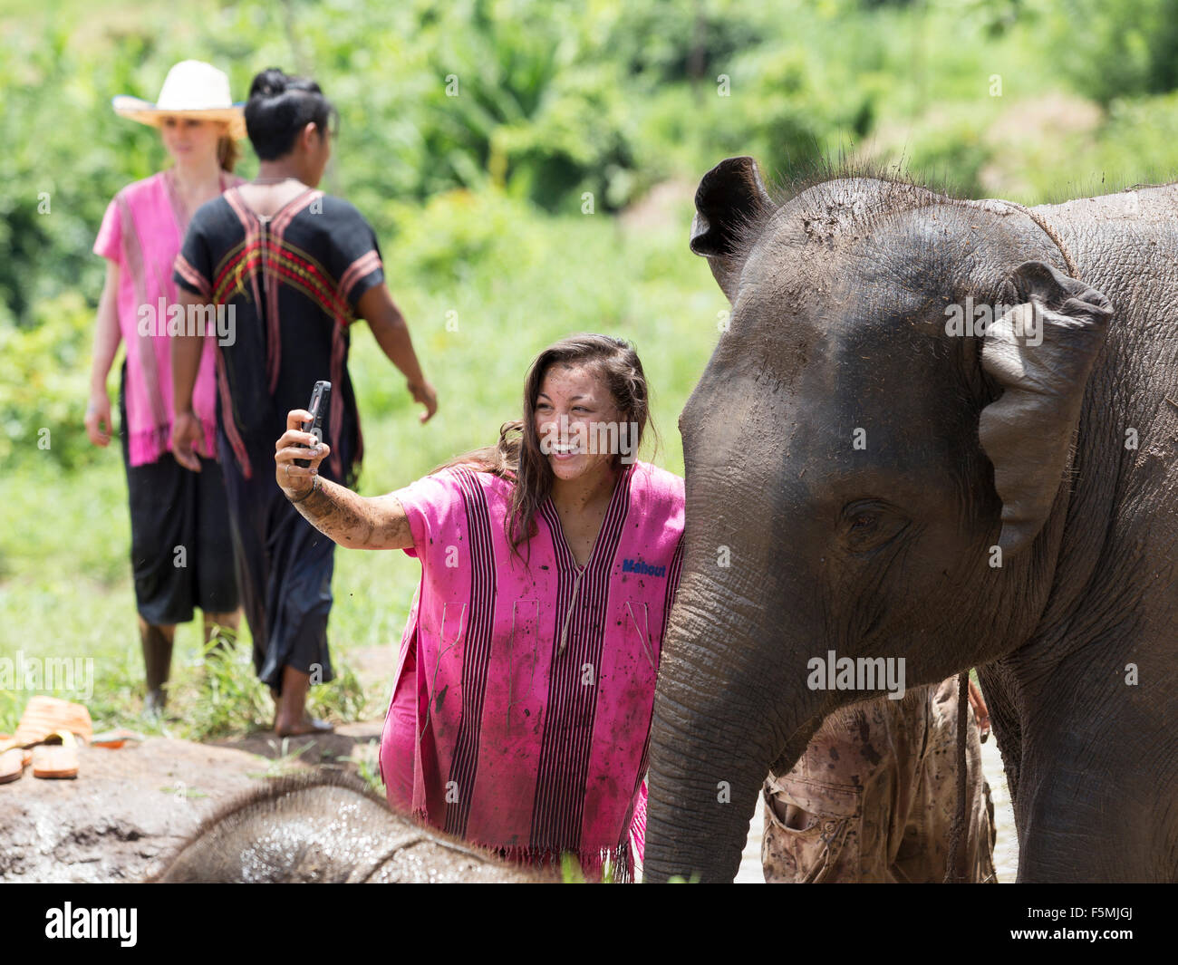 Tourismus in ein Heiligtum der Elefanten in Thailand Stockfoto