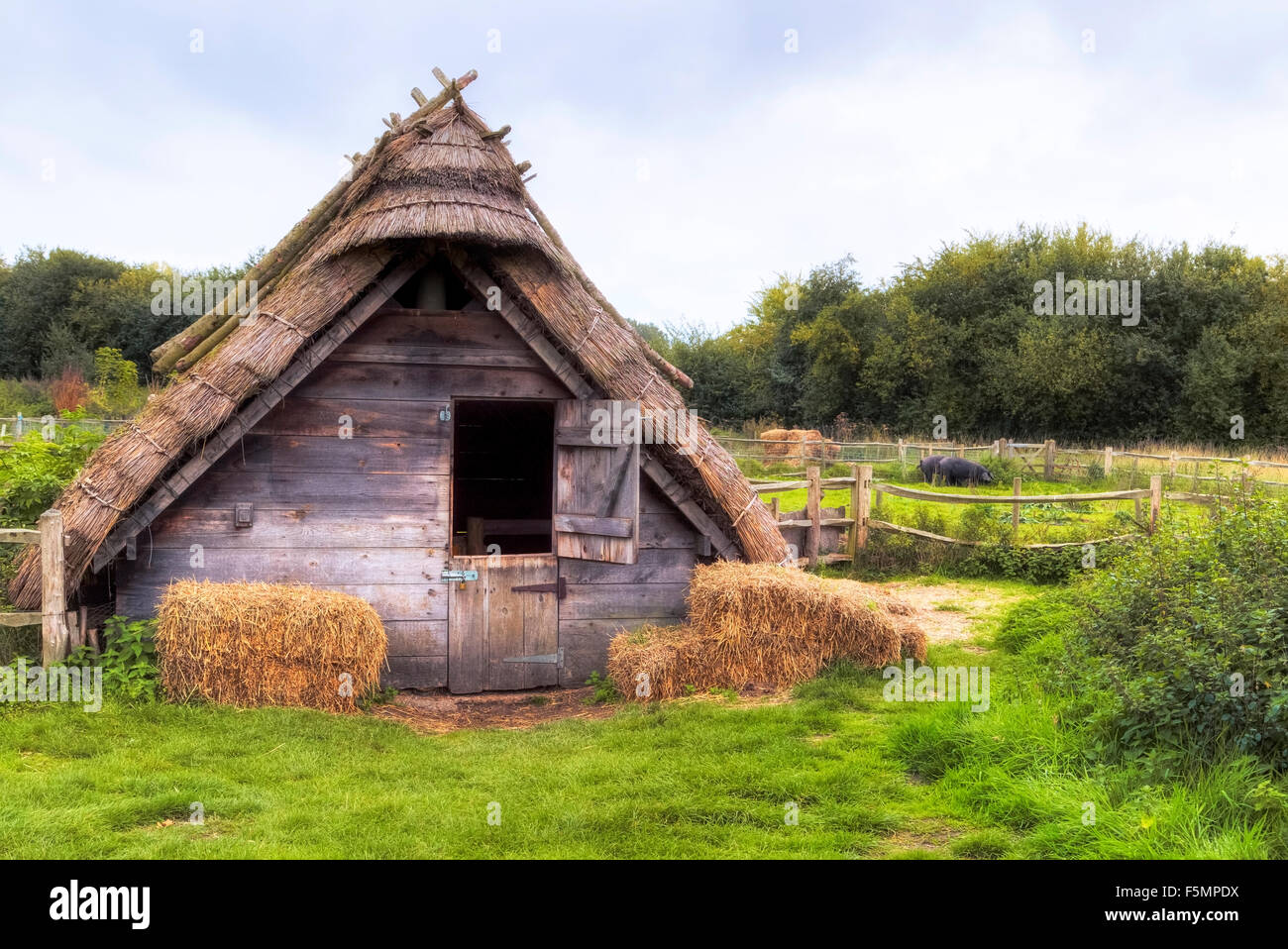 Anglo-Saxon Village, West Stow, Suffolk, England, Vereinigtes Königreich Stockfoto