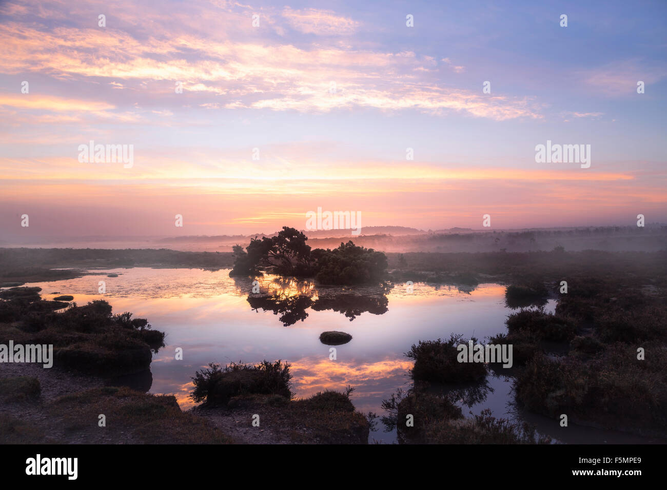 New Forest Sonnenaufgang, Brockenhurst, Hampshire, England, Vereinigtes Königreich Stockfoto