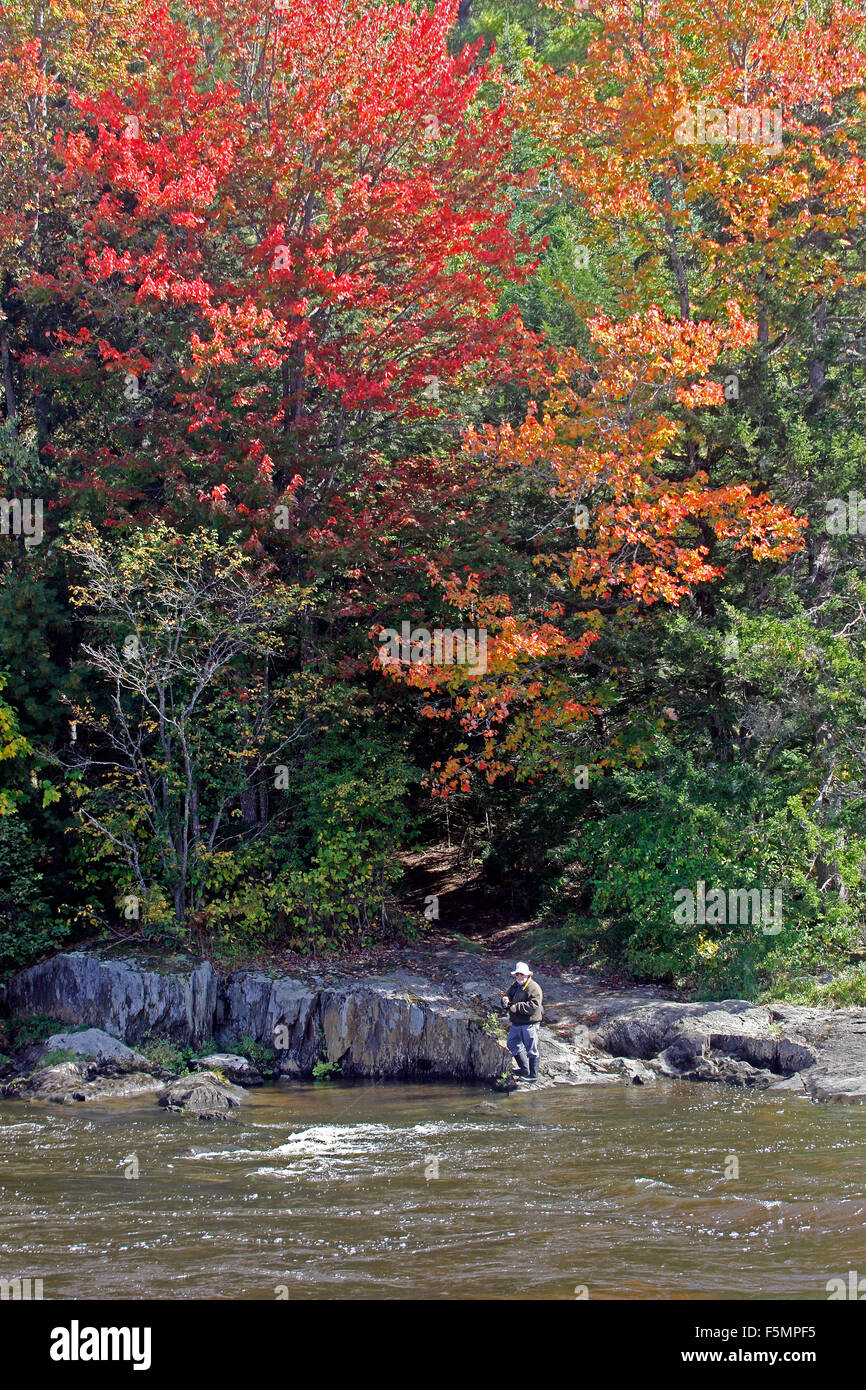Herbst Angeln Androscoggin River Coos County New Hampshire New England USA Stockfoto
