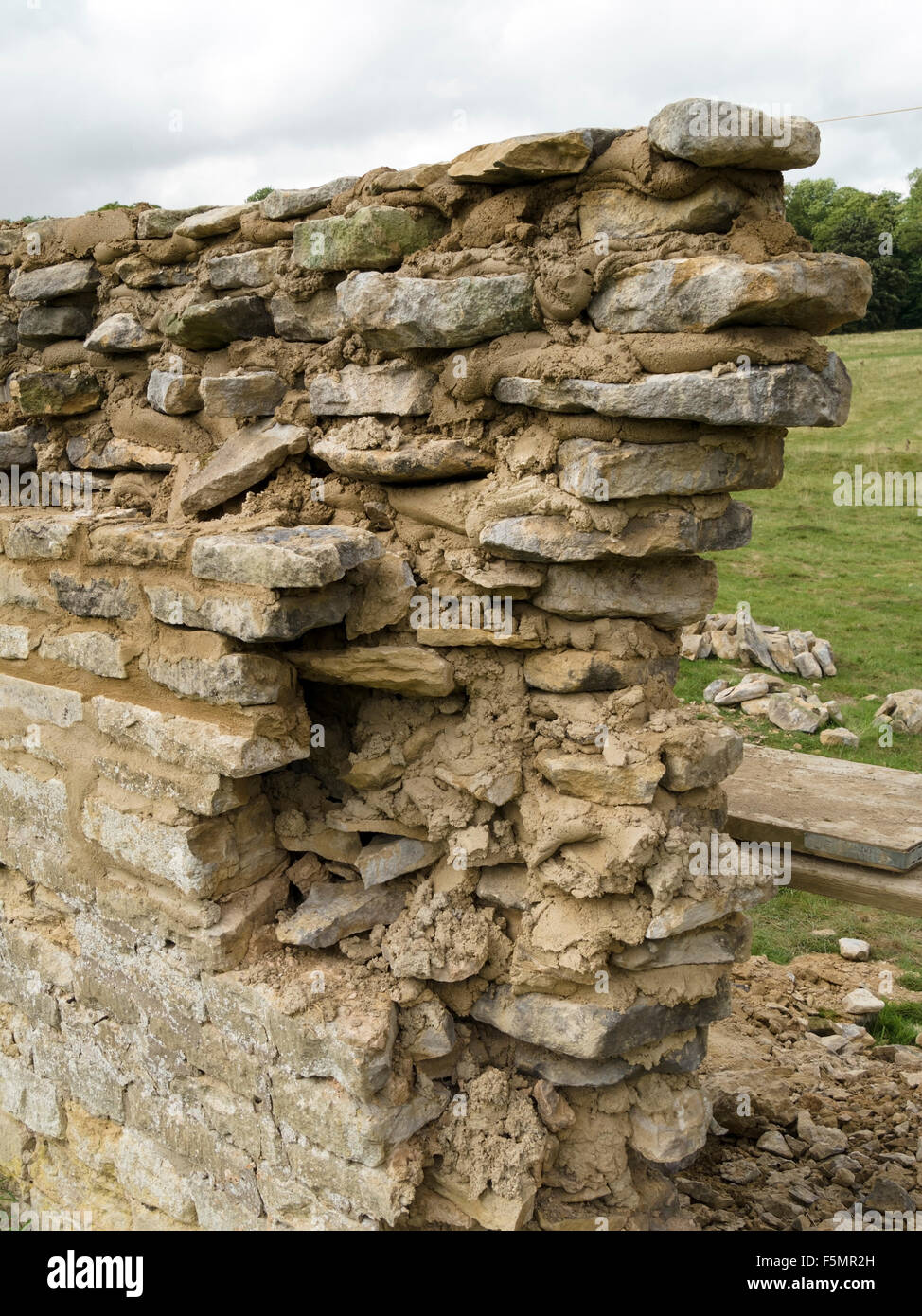 Alten Kalkstein Gartenmauer Renovierung. Stockfoto