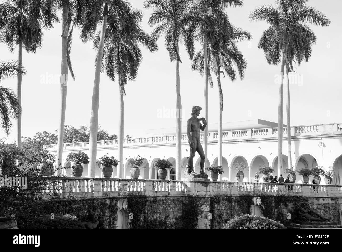 Schwarz-weiß Bild von Palmen und Gärten mit einer Nachbildung von Michelangelos David in den klingelnden Art Museum, Sarasota, FL Stockfoto