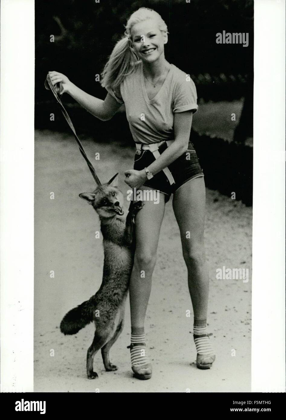 1972 - '' Tapsy'' ist eine clevere Fuchs., dafür wollte dieses schöne Mädchen zu seiner '' ständiger Begleiter ''! Dieser Fuchs, nur ein Jahr alt, verdankt einen Mann, der Tiere bereitet, dass er noch am Leben ist. Er war ursprünglich bestellt, dieses Tier aber He vorgezogen, es kaufen zu stopfen und brachte diese winzig kleine Fuchs auf den Venision kostenlos-Stift Hellental in der Eiffel. In der Zwischenzeit '' Törtels '' hat eine permanente '' Freundin '' dort gefunden: Karin Wolfram, 25, ehemaliges Playmate, nutzt jede freie Stunde, der kleine Fuchs zu besuchen und mit ihm spielen. © Keystone Bilder USA/ZUMAPRESS.com/Alamy Live-Nachrichten Stockfoto