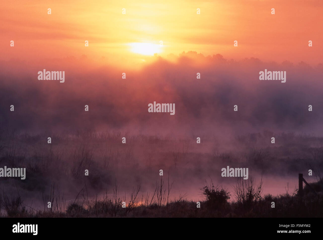 Nebligen Sonnenaufgang, Felchen, Ontario, Kanada. Stockfoto