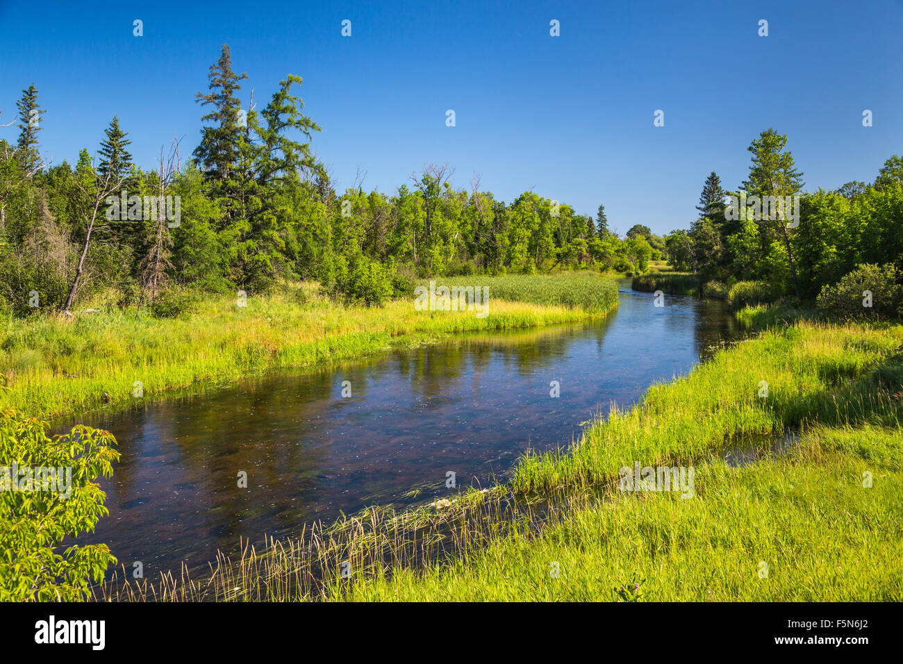 Der Ottertail-Fluss im Norden von Minnesota, USA. Stockfoto