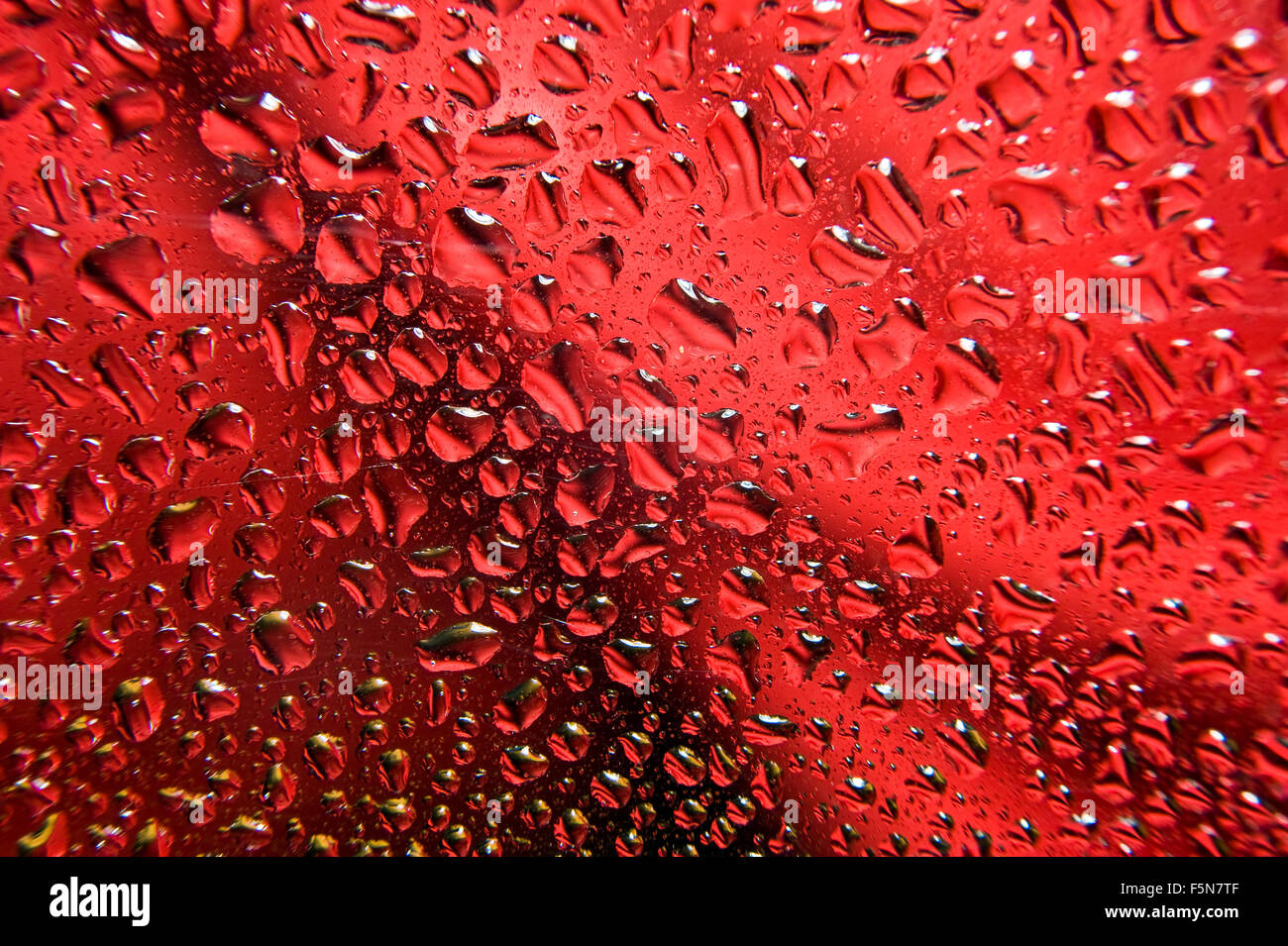 Abstrakte, rote und schwarze Hintergrundfarbe mit Wassertropfen. Stockfoto