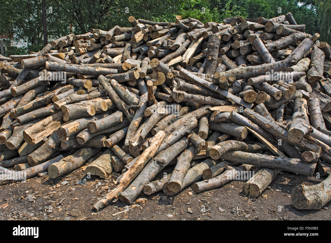 Holzschnitt auf dem Betriebshof des Protokolls und zum Verkauf bereit. Stockfoto