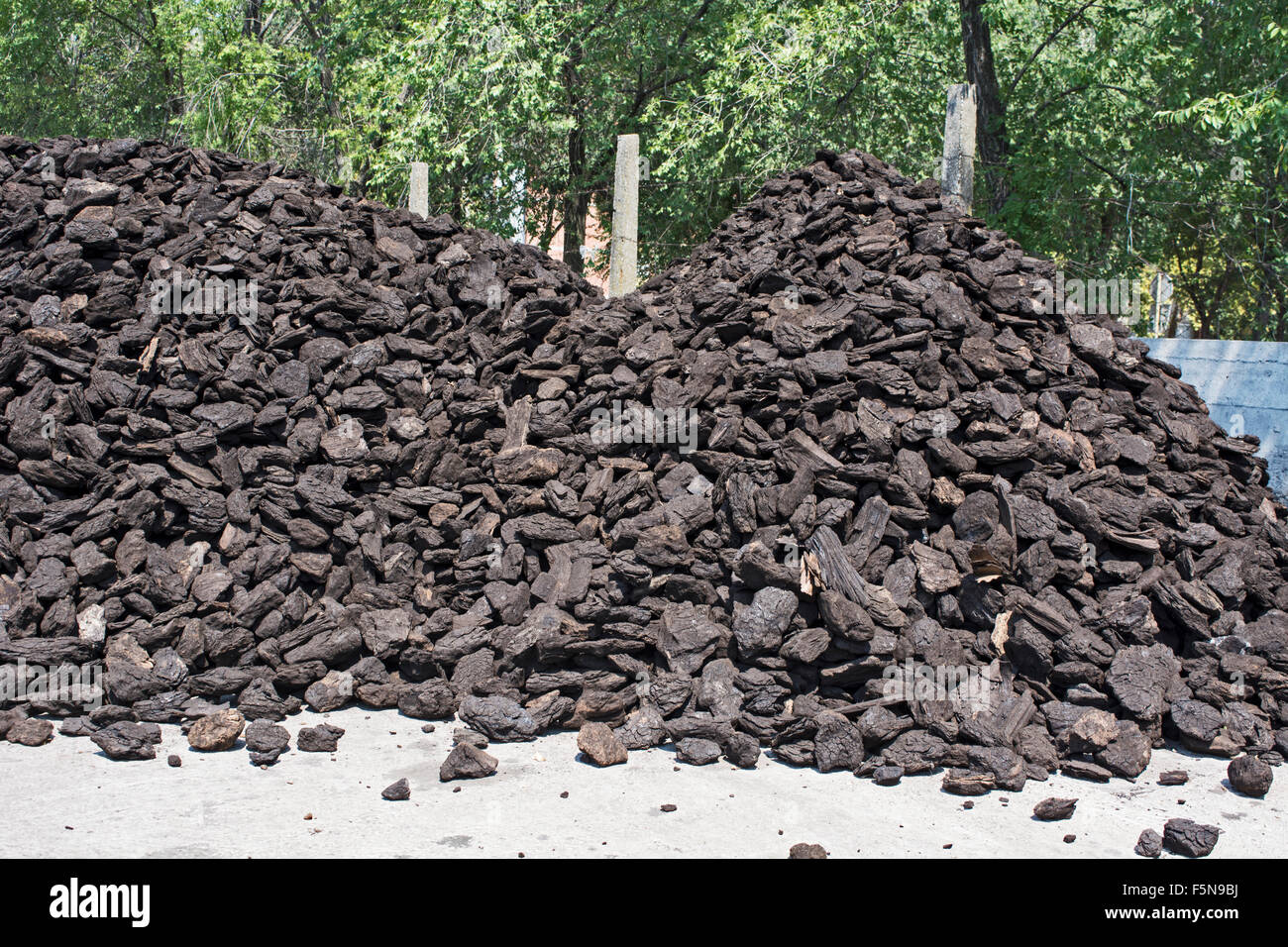 Gutes Preis-Leistungsverhältnis und gute Qualität der Kohle auf Lager warten auf die ersten Kunden. Stockfoto