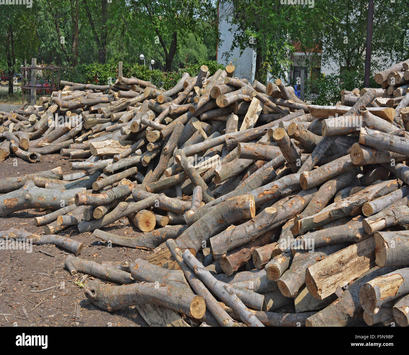Holzschnitt auf dem Betriebshof des Protokolls und zum Verkauf bereit. Stockfoto
